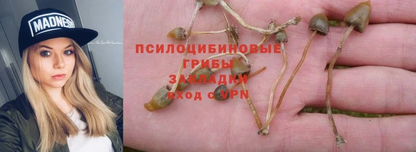 ECSTASY Михайловск