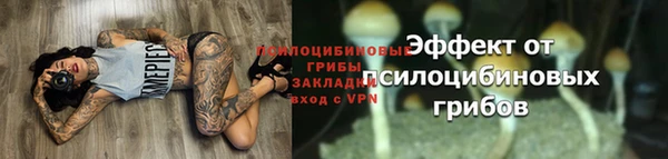 мдпв Мегион