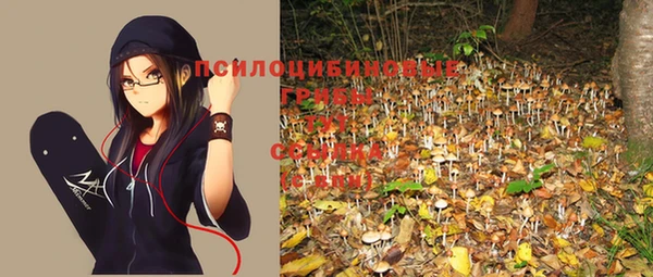 соль курить ск Михайлов