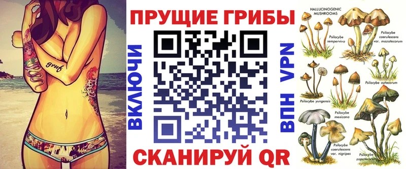Псилоцибиновые грибы Cubensis  Миньяр 