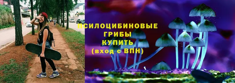 Псилоцибиновые грибы Psilocybe  Миньяр 